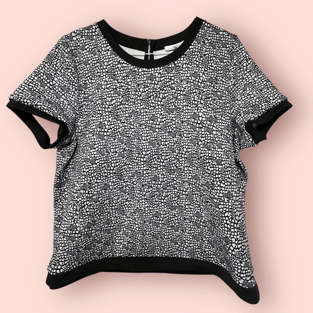 Calvin Klein White/Black Women’s short sleeve, Round Neck Top Sz XL